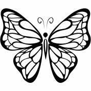 Mariposa